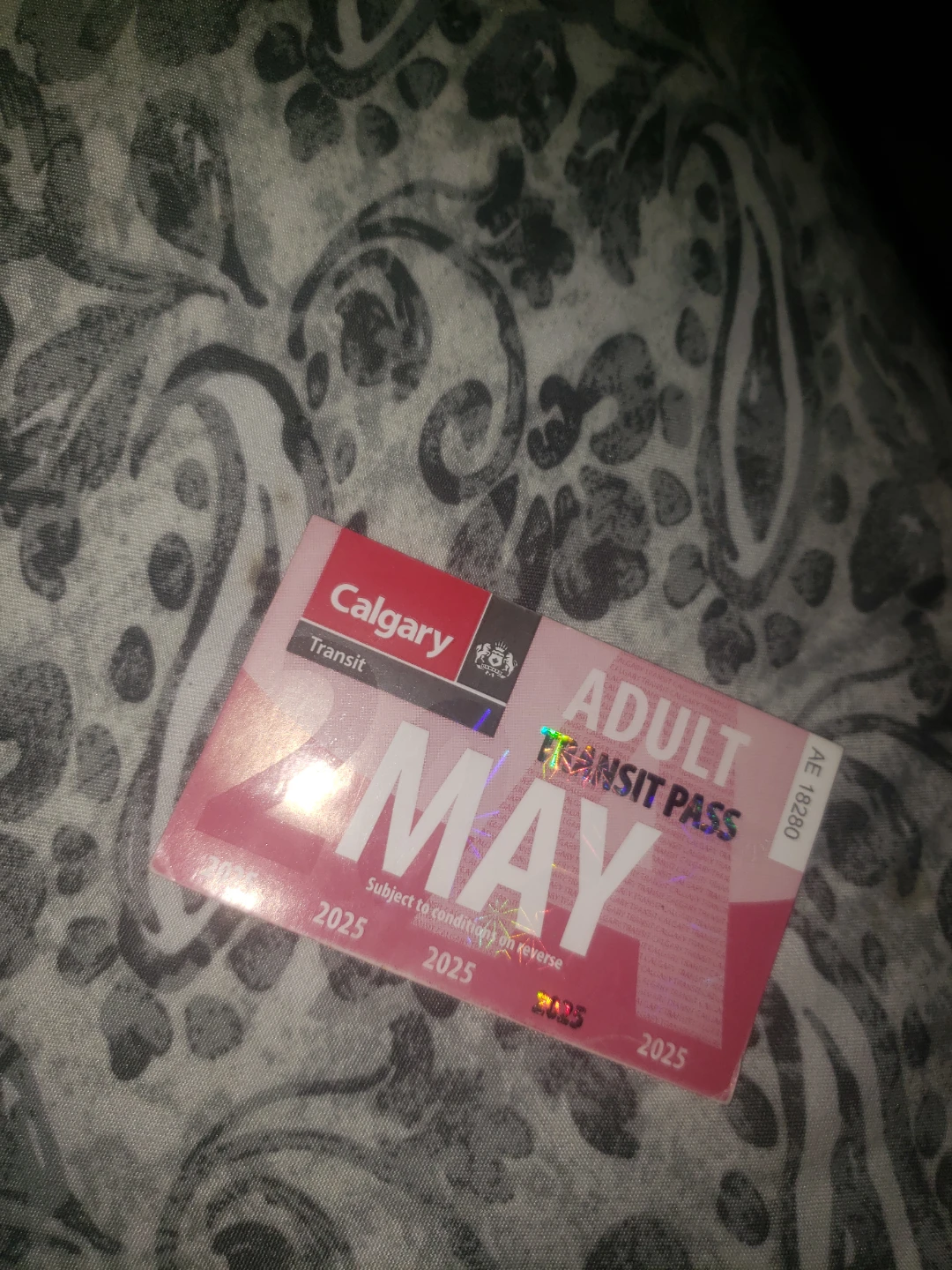 Calgary Transit Adult May 2025 Pass