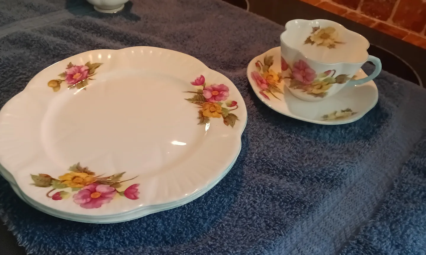 Shelley  "Begonia ' image indicator(2)