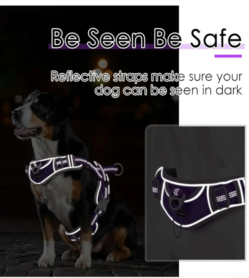 Adventuremore Dog Harness - Purple XS image indicator(8)