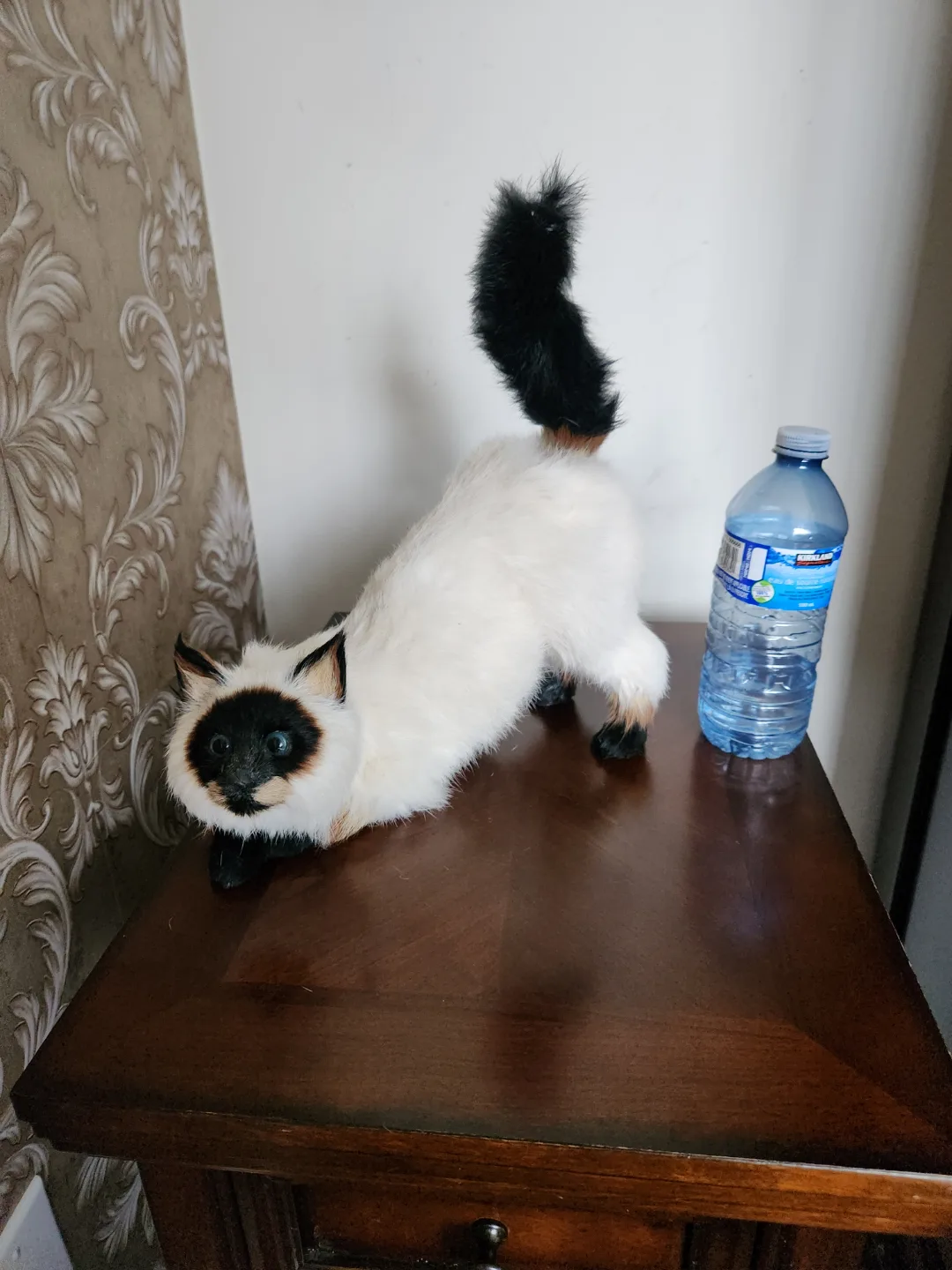 Adorable Realistic Siamese Cat Figurine image indicator(4)