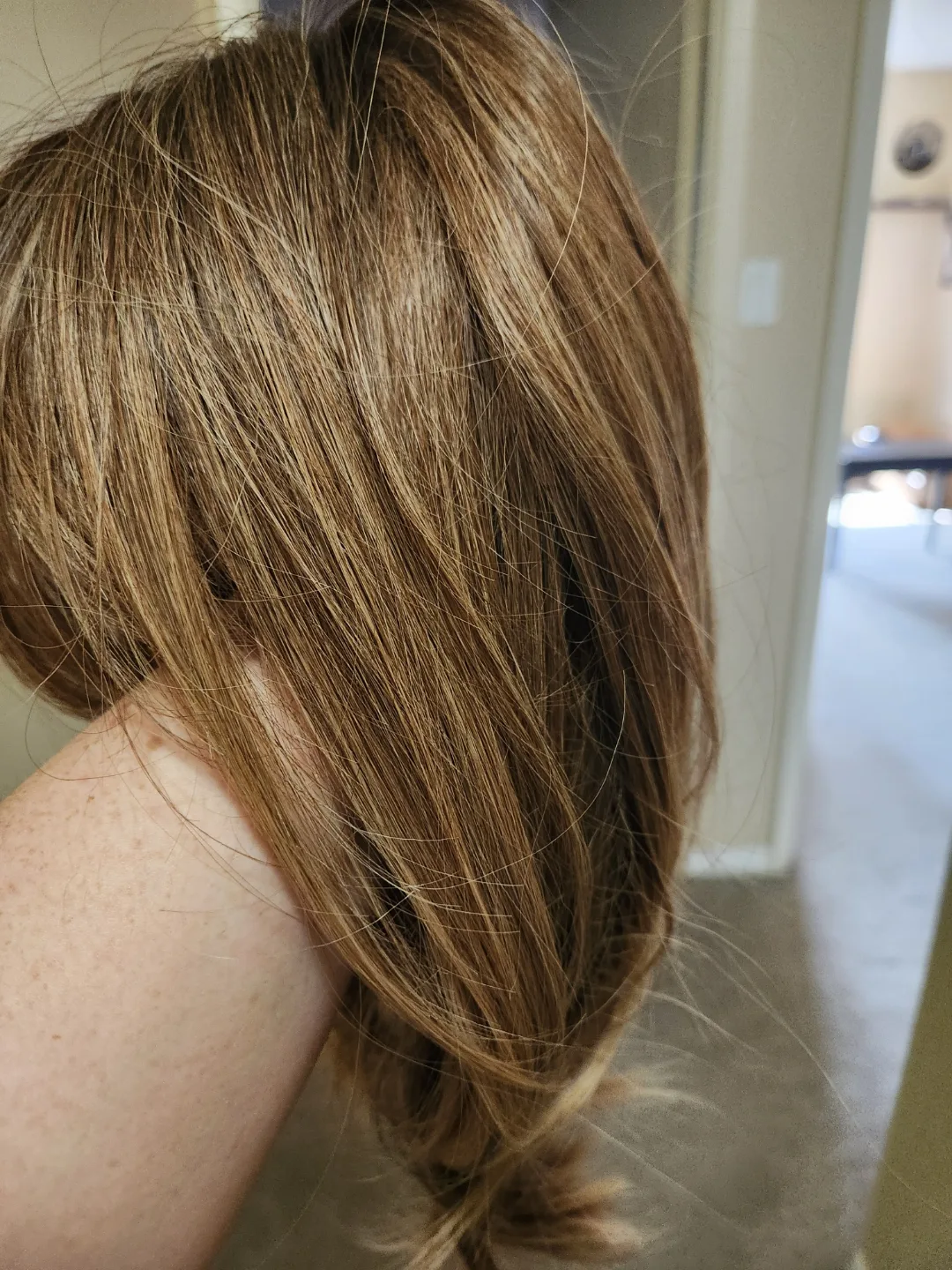 Brunette Wig with a Ponytail Wig Set image indicator(6)