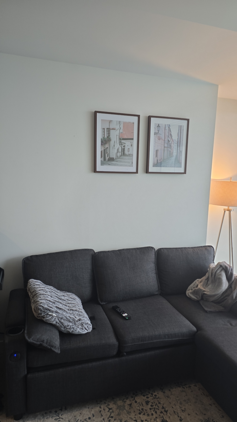 Dark Grey L-Shaped Sectional Sofa with pull out bed - photo 2