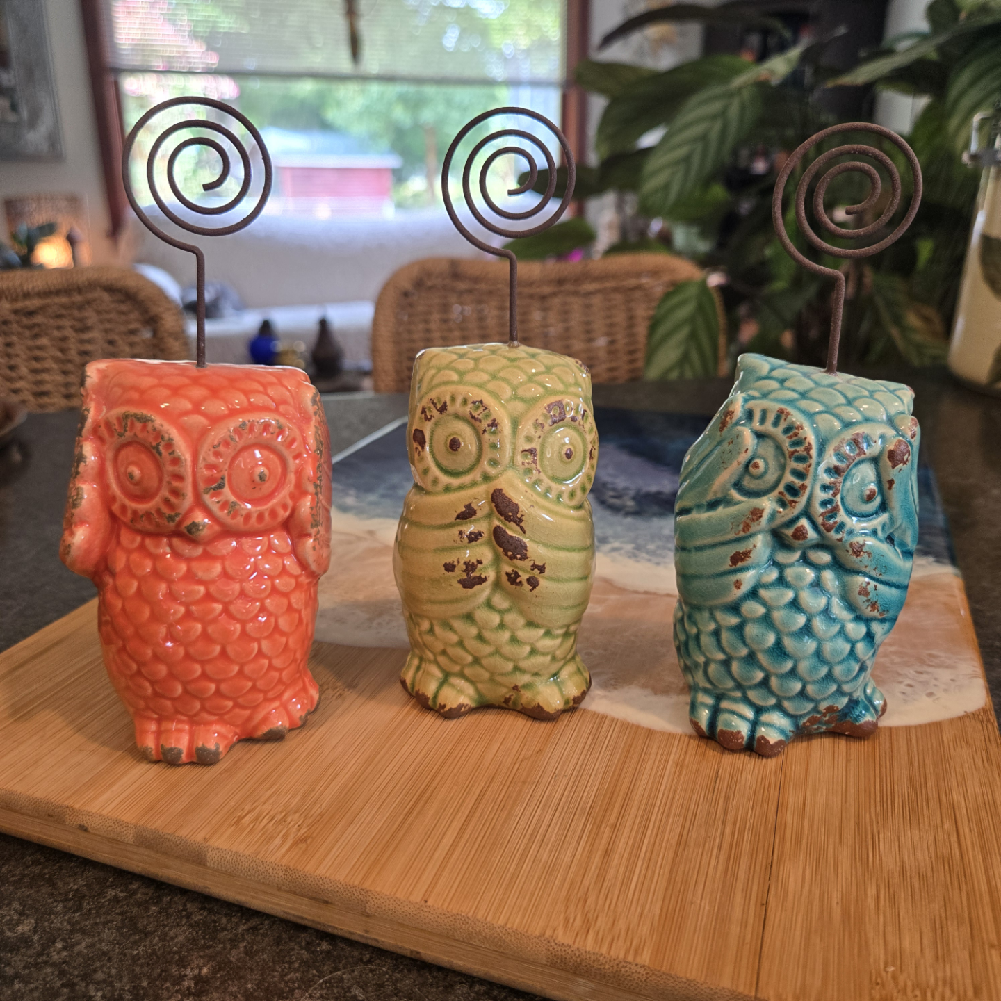 Three Wise Owls
