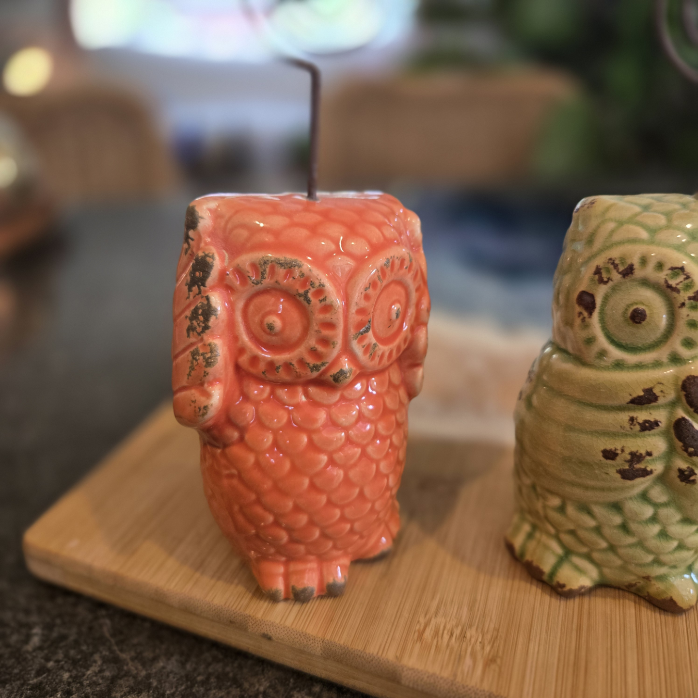 Three Wise Owls - photo 3