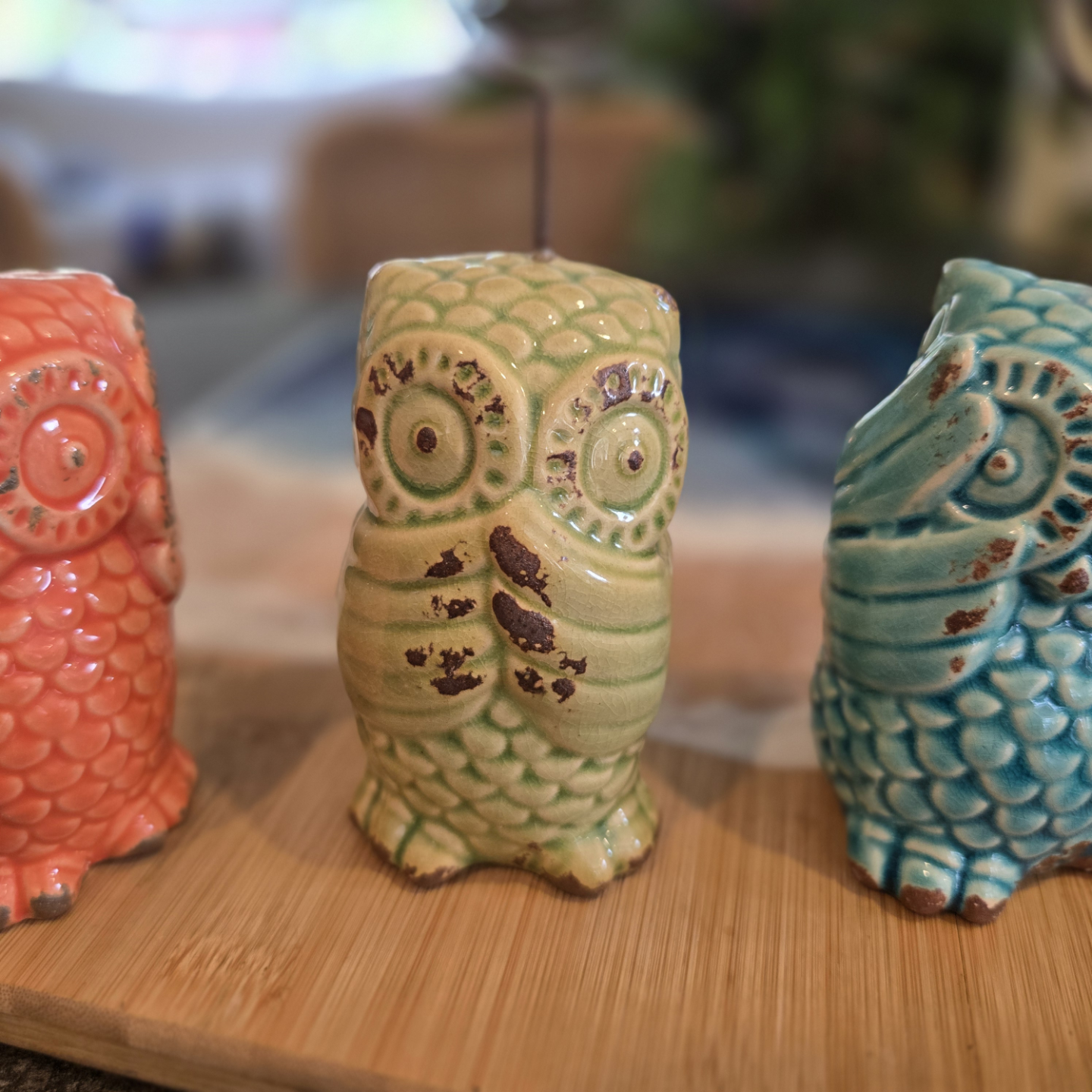 Three Wise Owls - photo 5