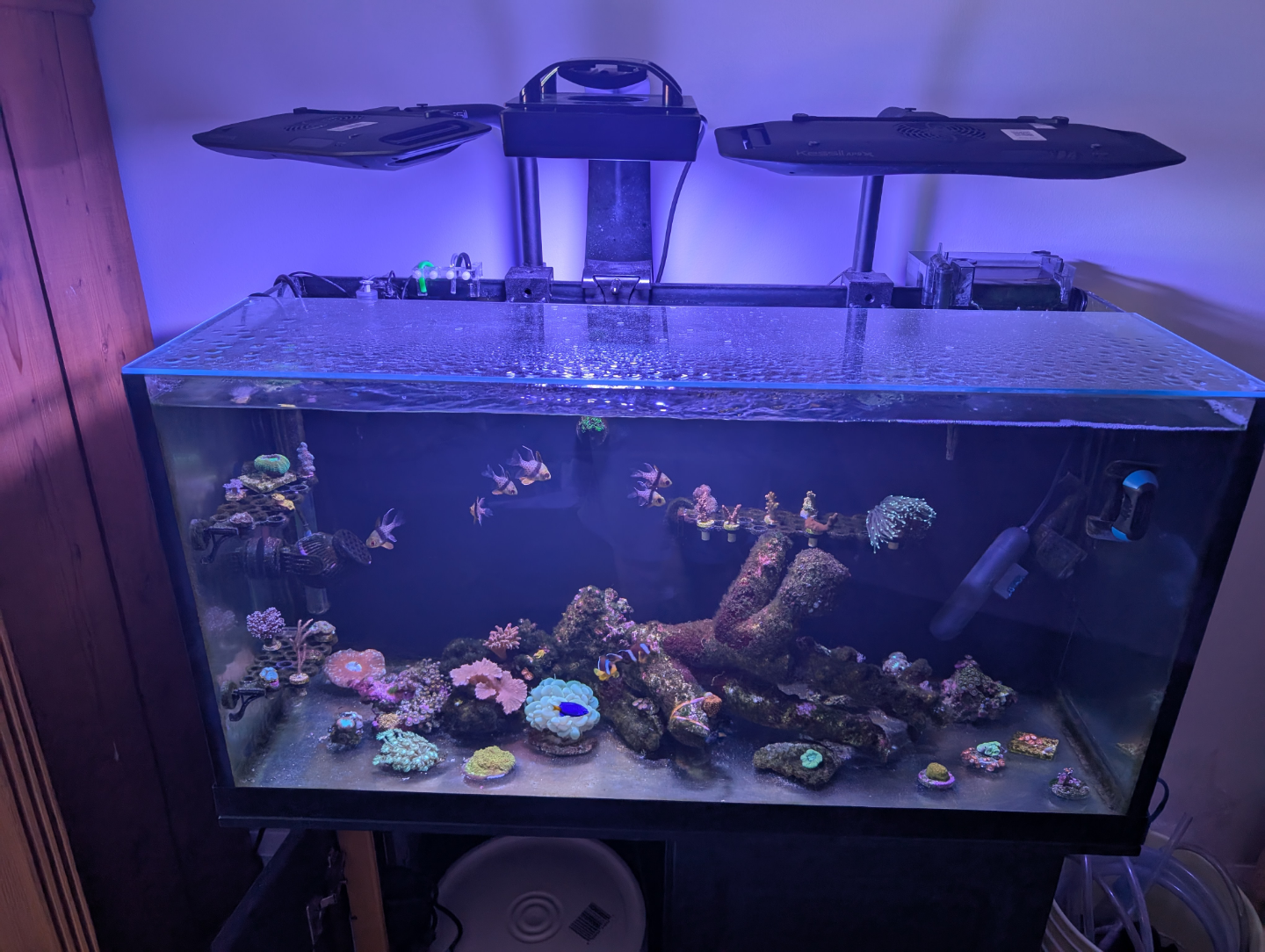 Radion G5 XR15 Pro Aquarium Light