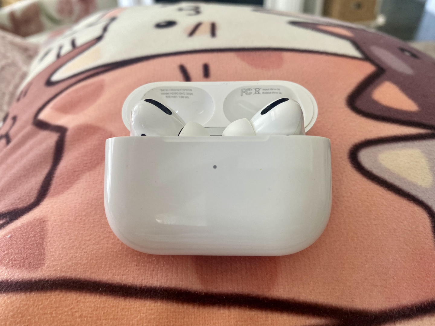 Apple AirPods Pro with MagSafe Charging Case - $75 OBO - photo 3