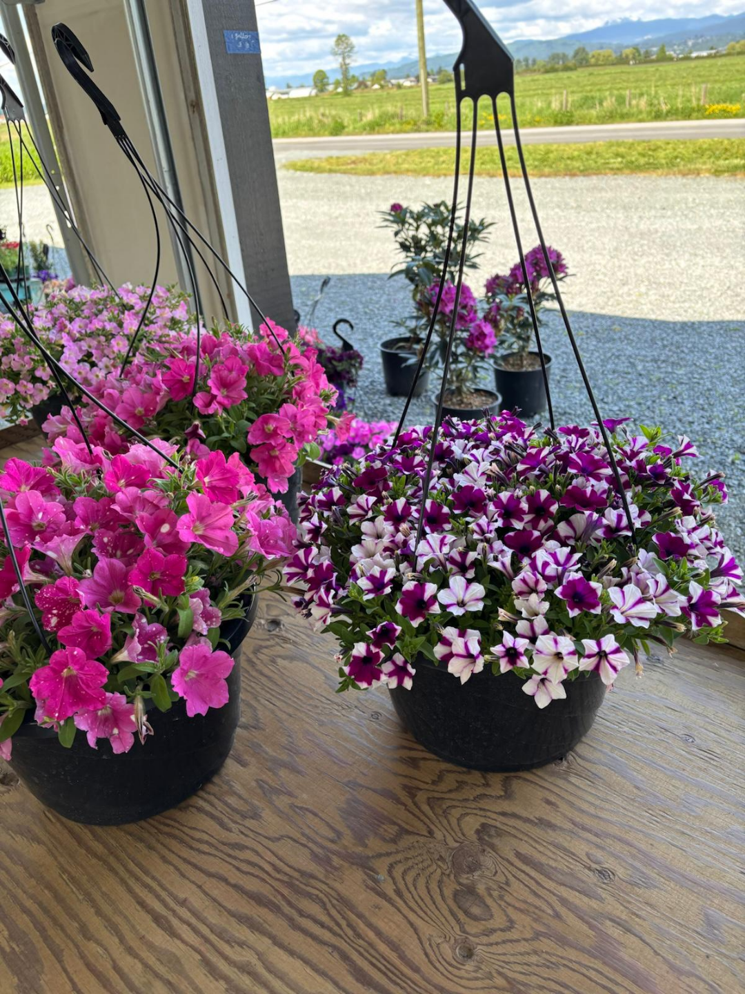 Flower baskets