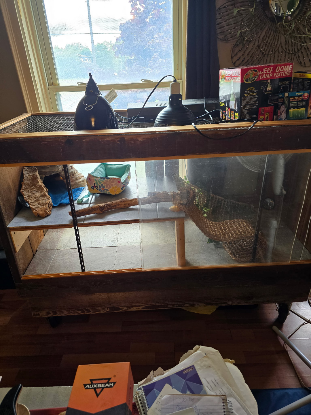 Wooden Terrarium