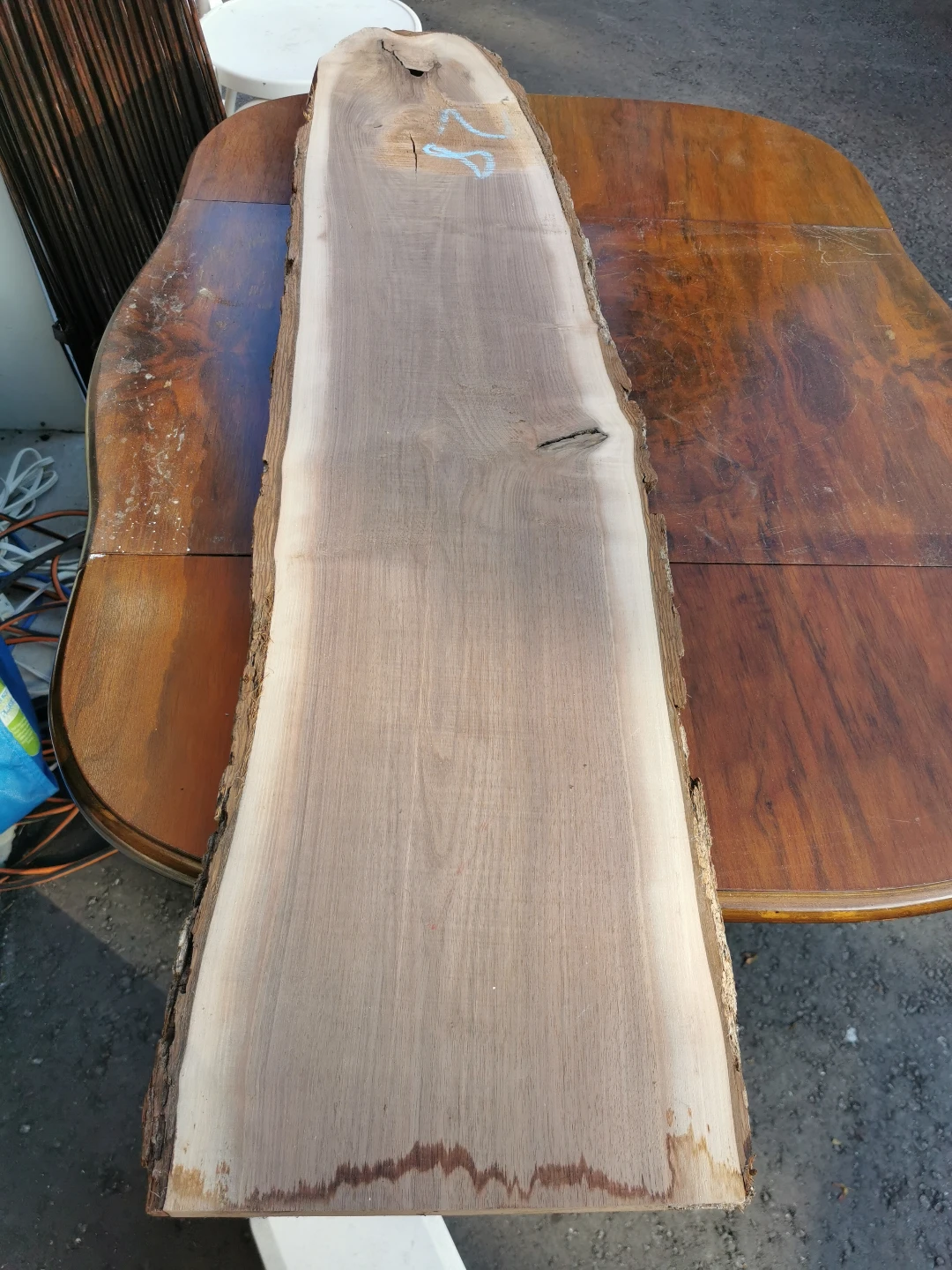 3 pieces Live Edge Walnut Wood Slab - 1955