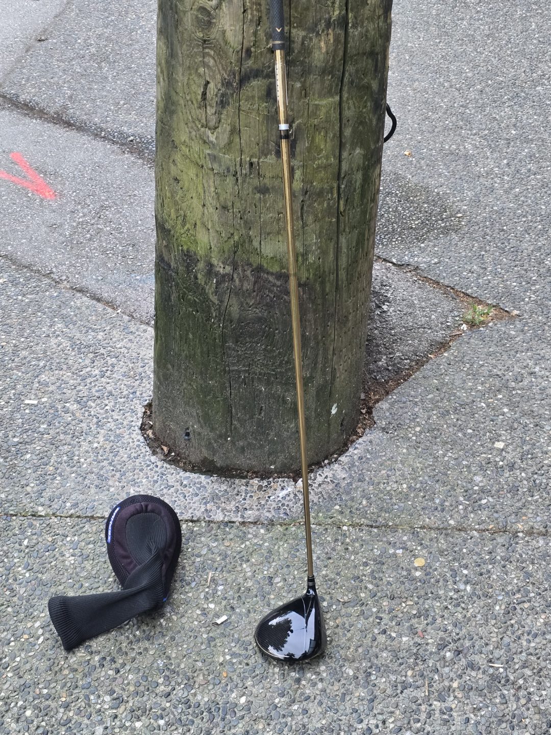 Callaway Epic Flash Star Driver & TaylorMade Spider Putter - photo 4