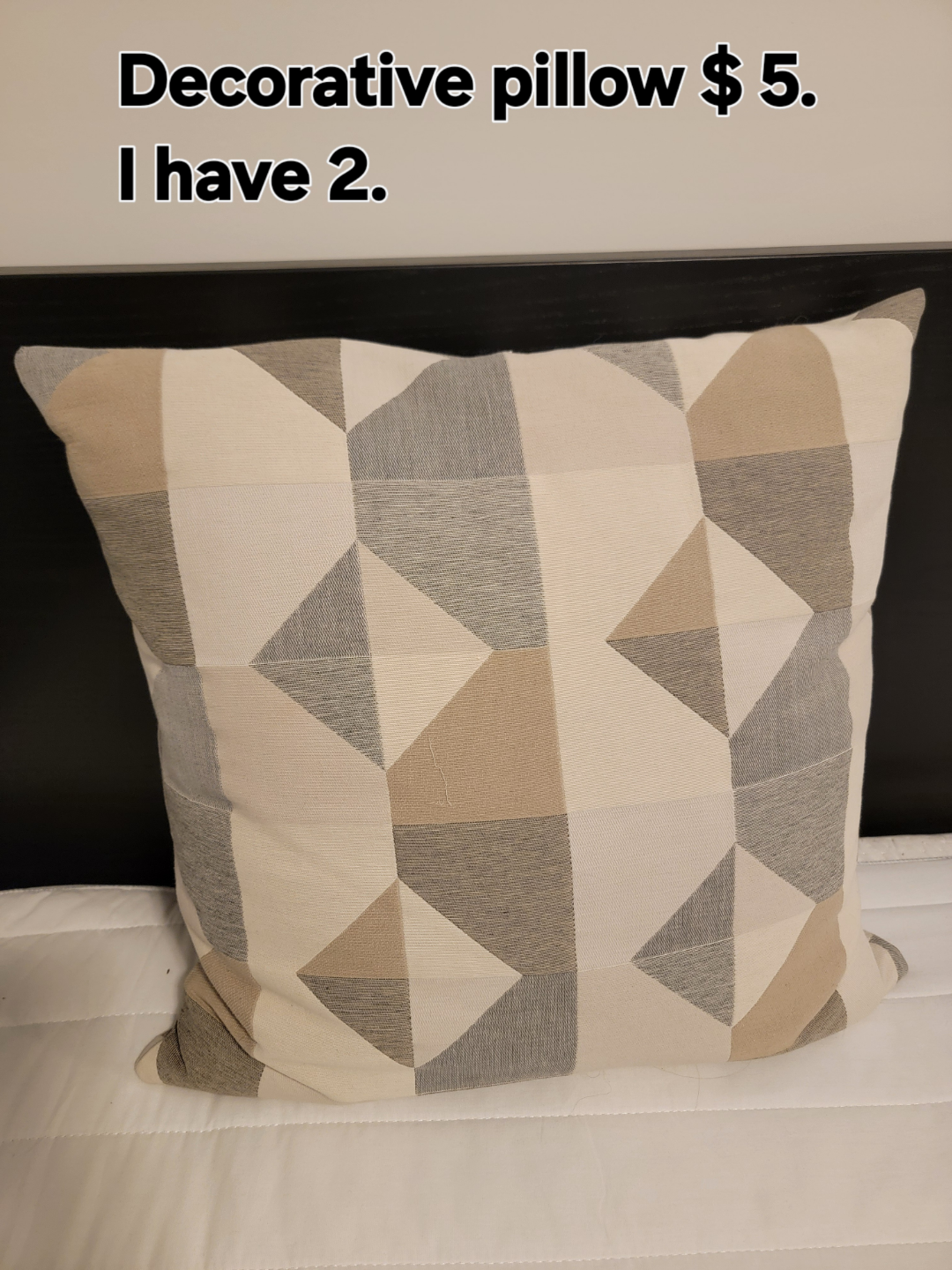 Decorative Pillow - Geometric Pattern - $5
