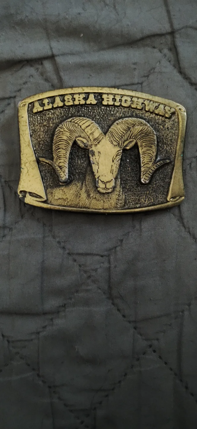 Belt buckles image indicator(6)