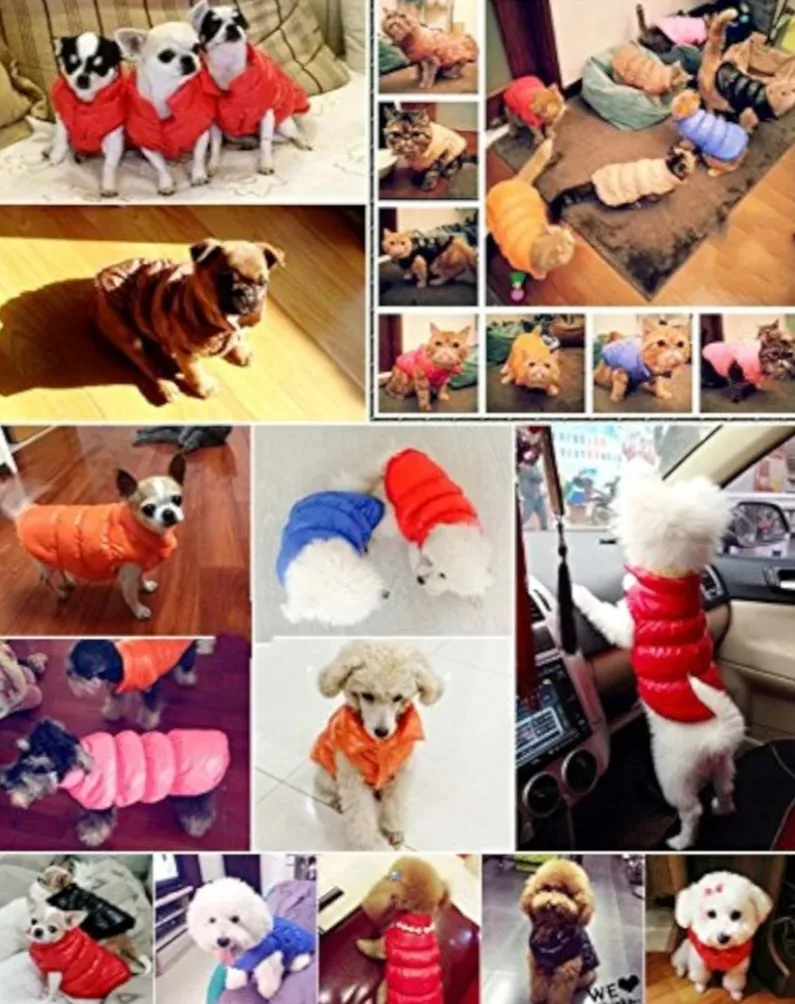 Pink Dog Puffer Vest - Size XXL image indicator(7)