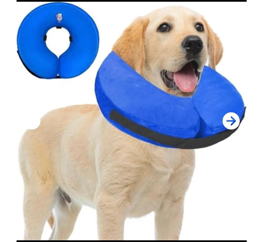 NEW Soft Cone Collar for Large Medium Small Dogs and Cats thumbnail