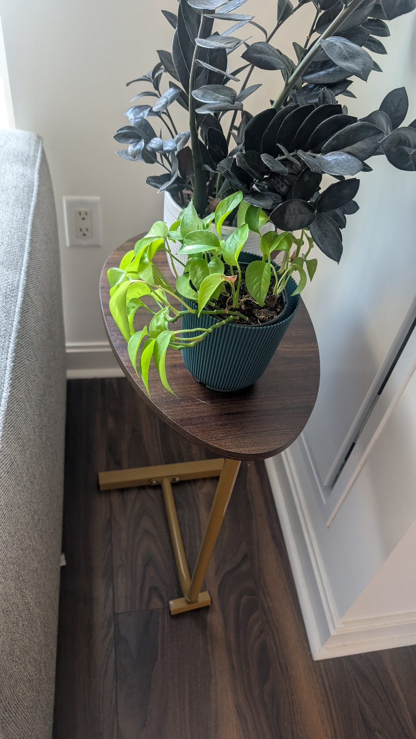 Mid-Century Modern Side Table - photo 3