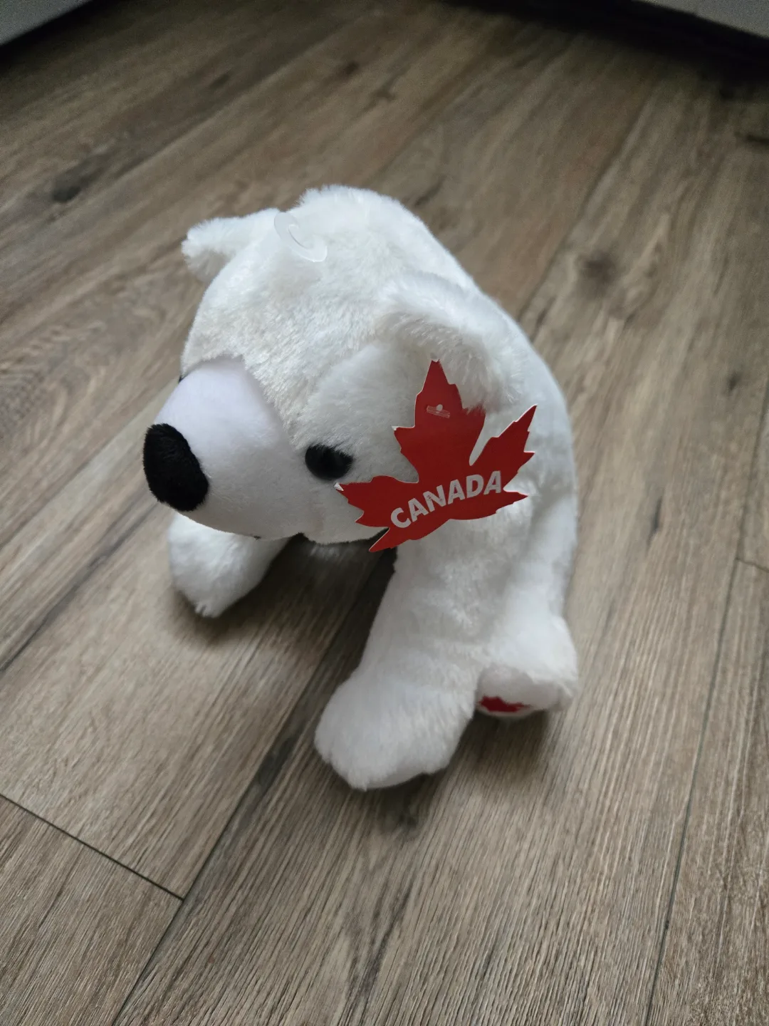 Adorable Plush Polar Bear Souvenir from Canada 🏒 thumbnail