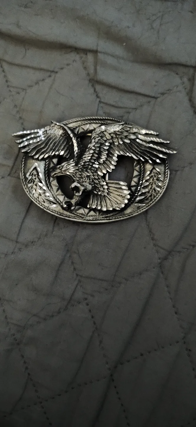 Belt buckles image indicator(4)