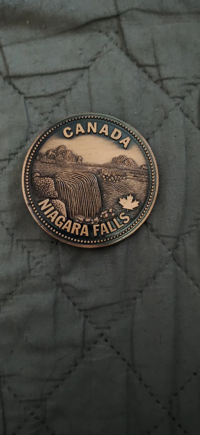 Belt buckles image indicator(5)