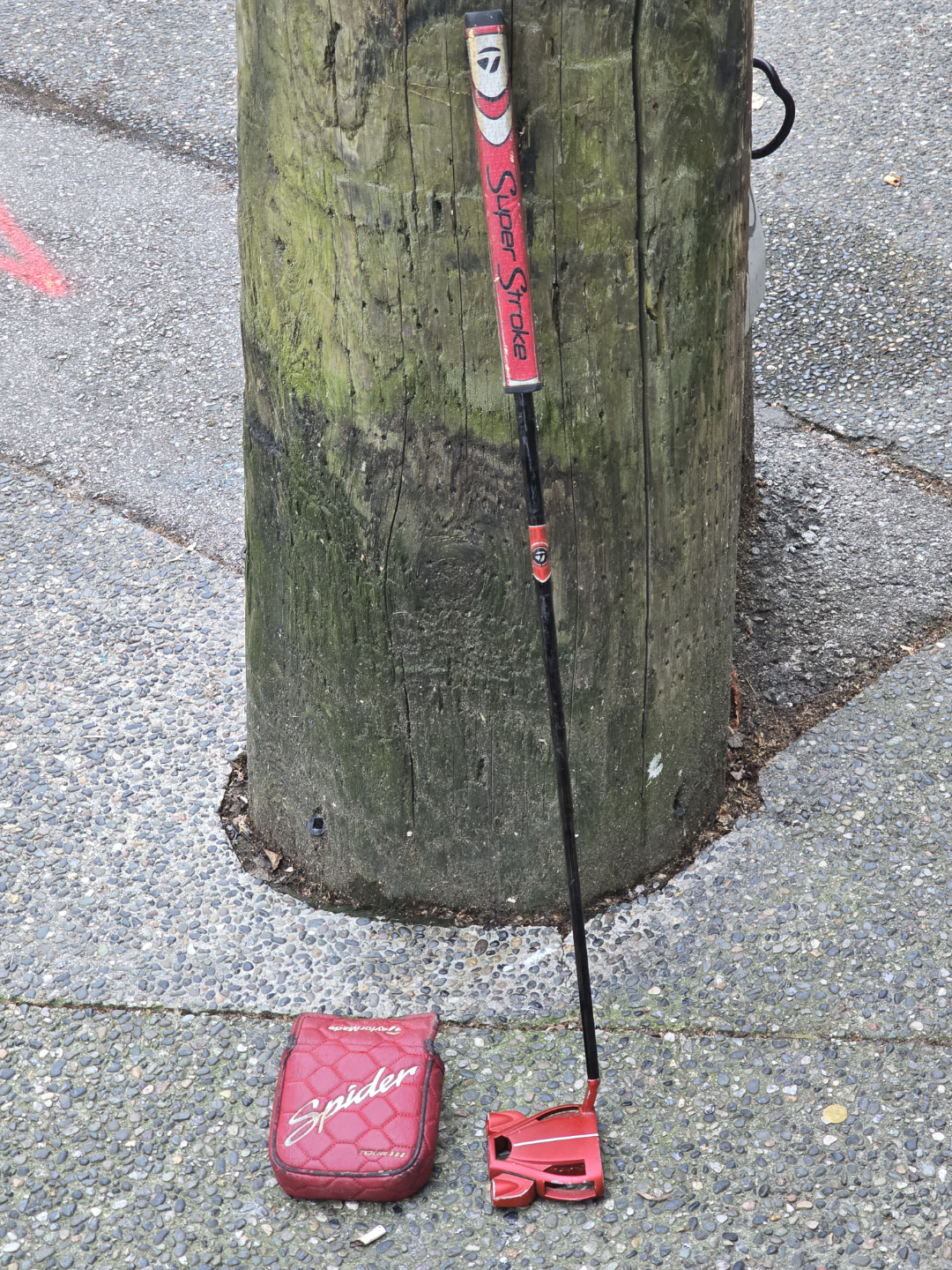 Callaway Epic Flash Star Driver & TaylorMade Spider Putter - photo 5