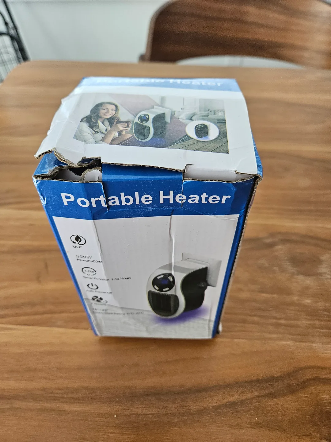 Portable 500W Electric Heater