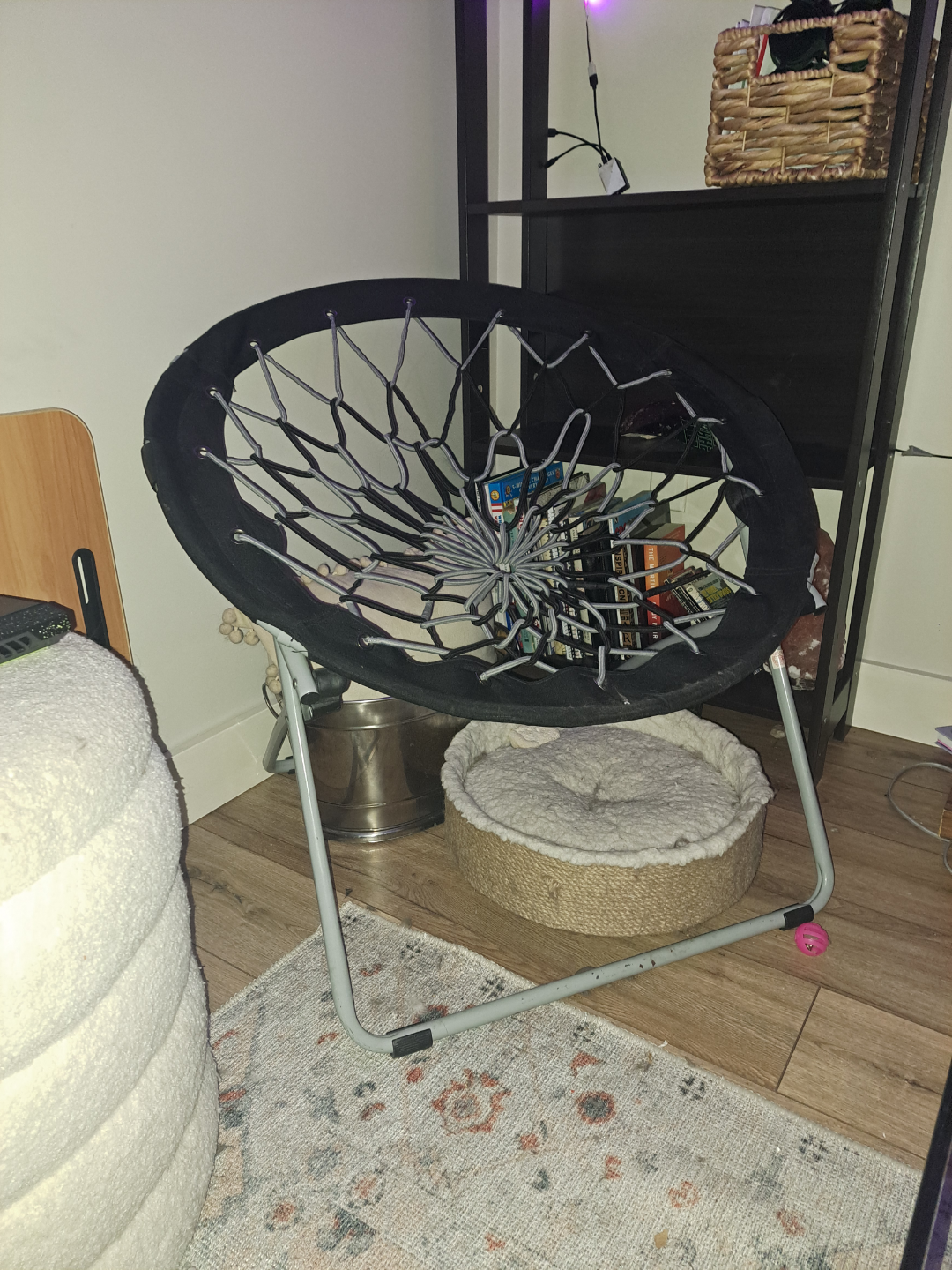 FREE BUNGEE CHAIR