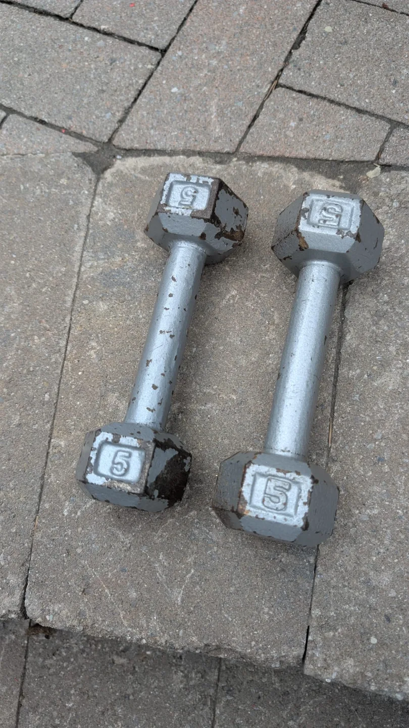 5 lb Dumbbells weights thumbnail