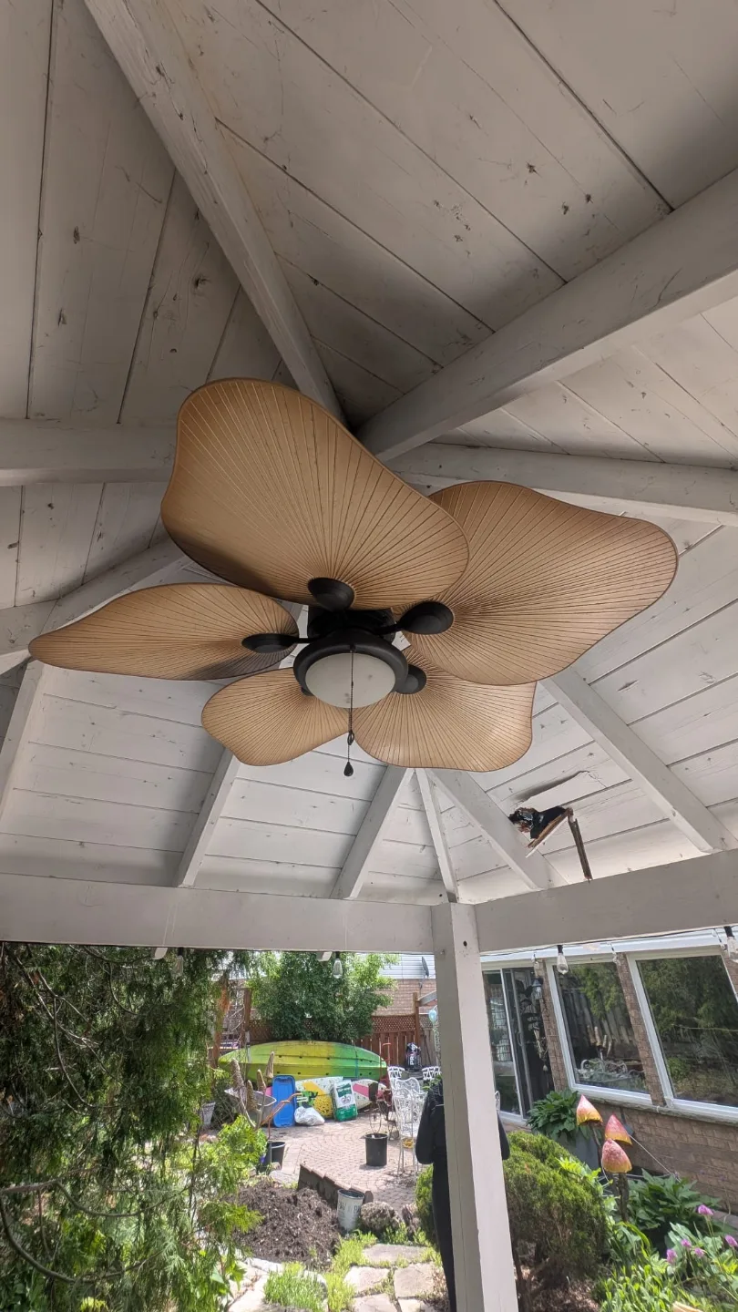 Ceiling Fan thumbnail