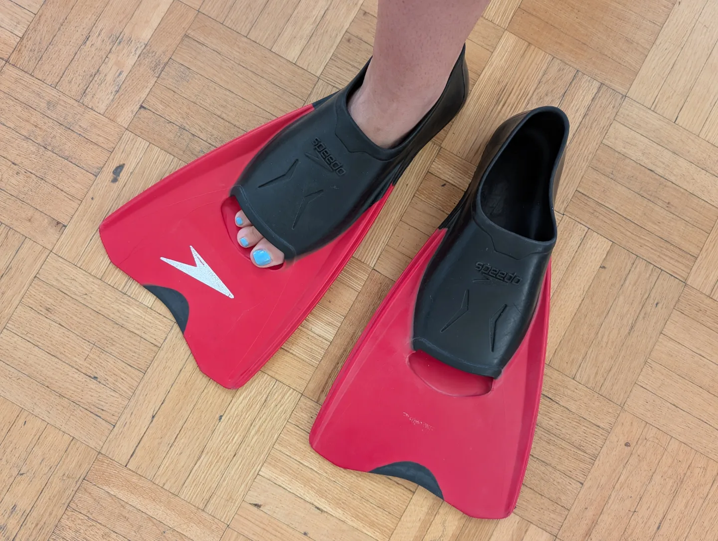 Speedo Swim Fins 🏊 image indicator(3)