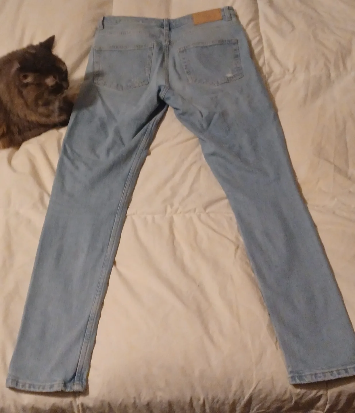 Women's Size 29 Light Wash Distressed Jeans image indicator(2)