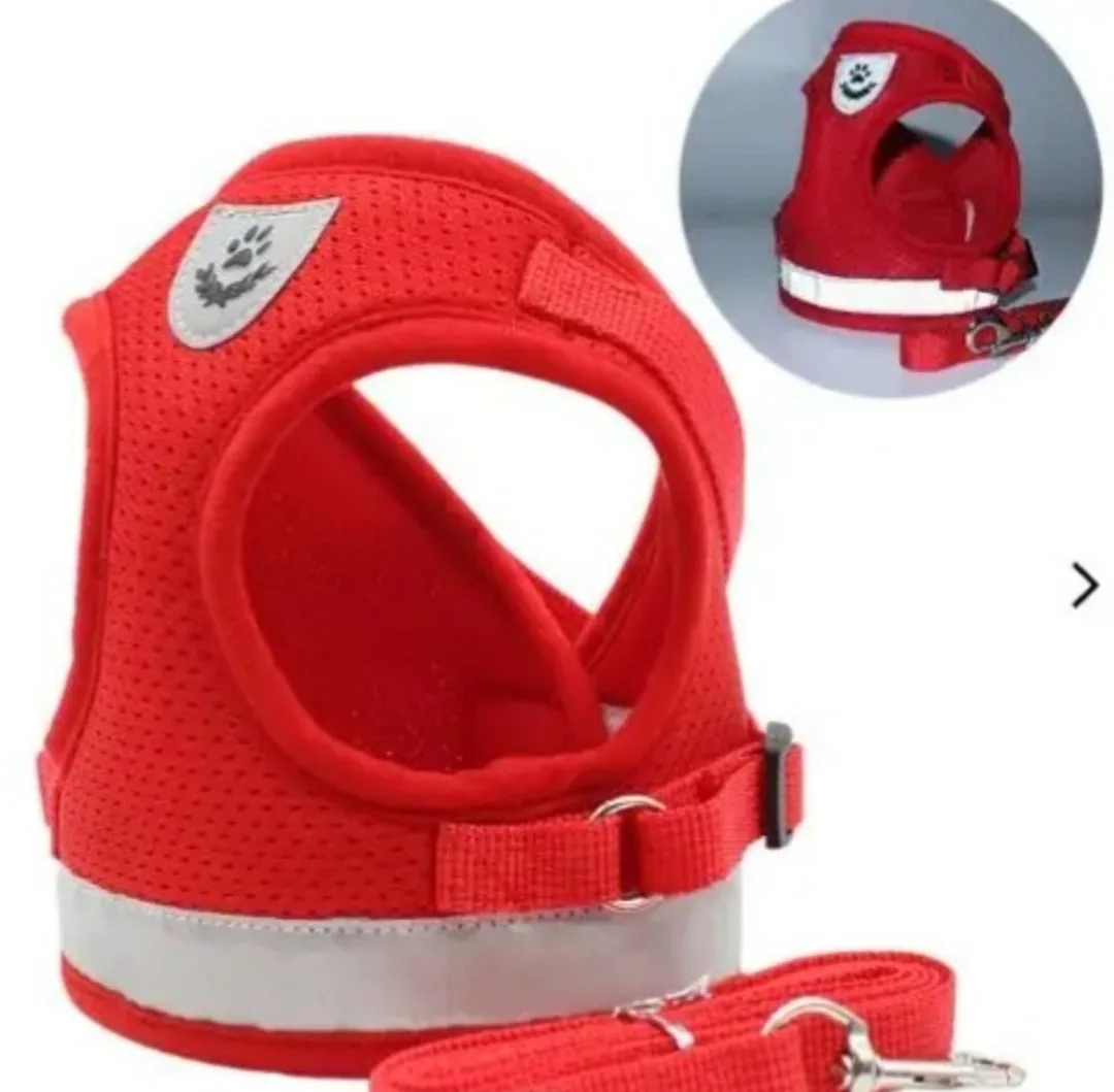 ⭐SALE⭐ Dog/Pet Harness & Leash Set - Multiple Colours image indicator(2)