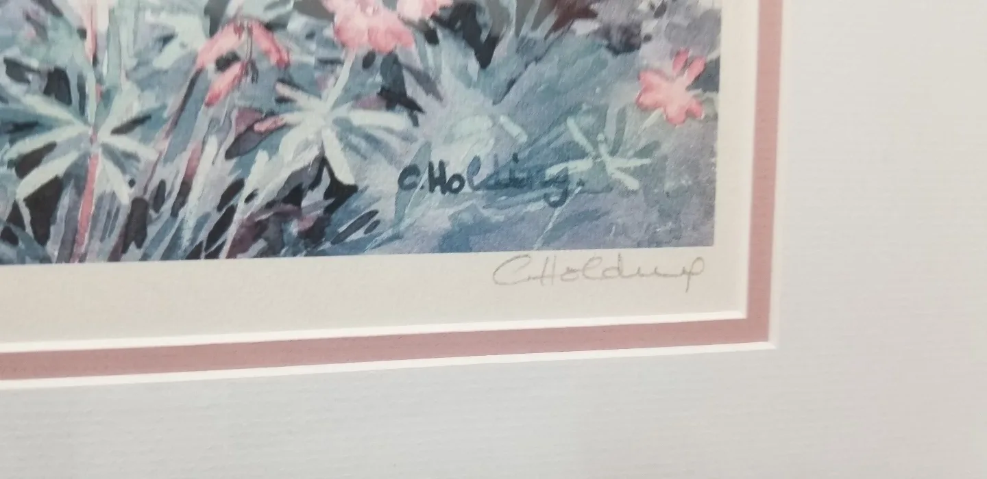 Framed Bermuda Print by C. Holding image indicator(3)