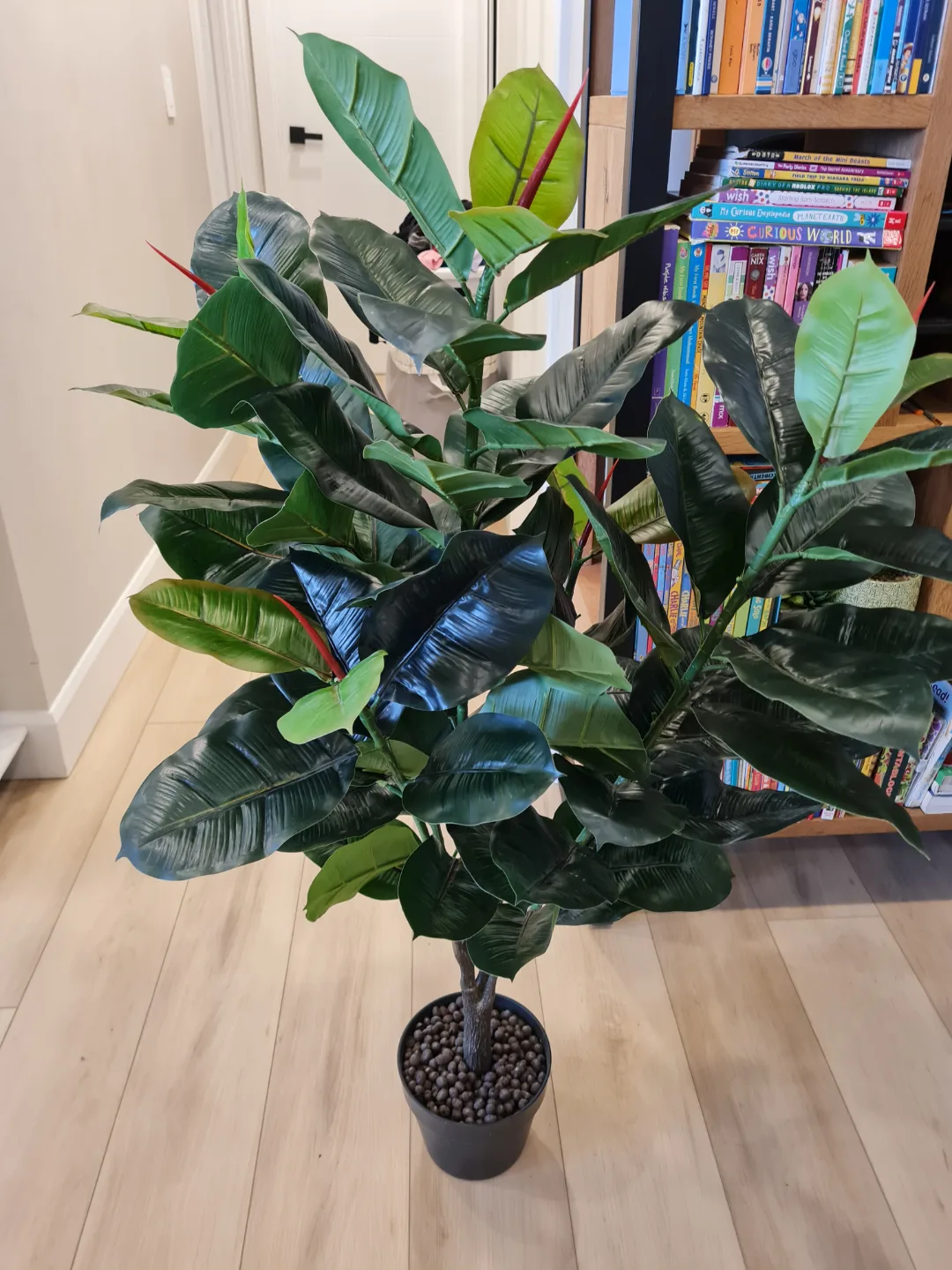 Two Artificial Rubber Plants image indicator(8)