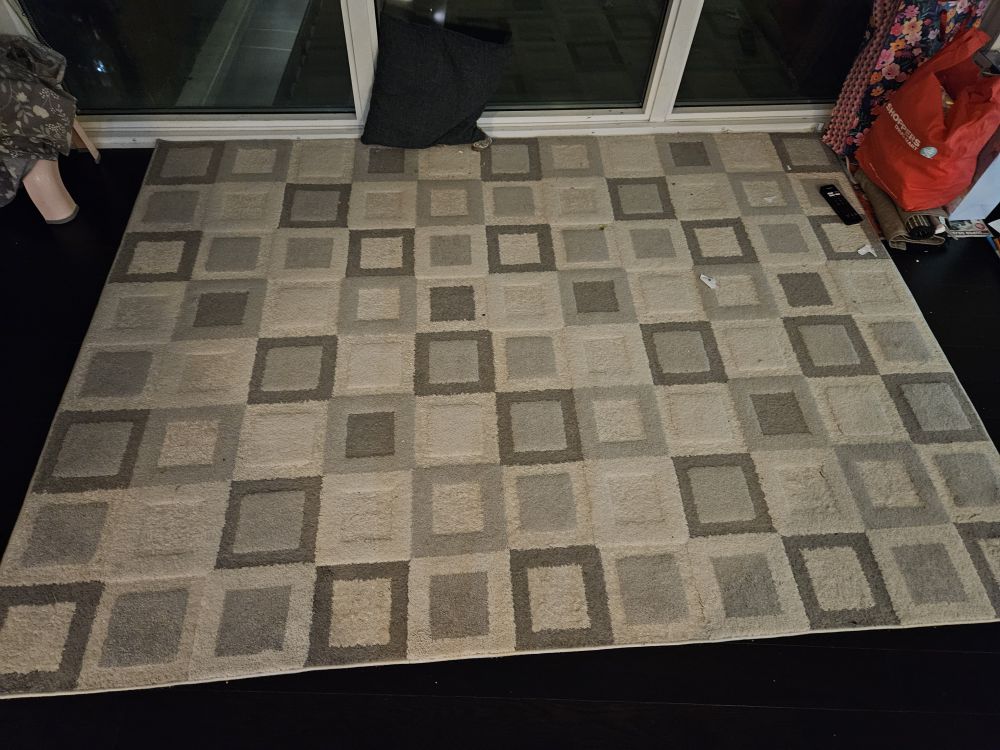 urgent Sale Grey and Beige Area Rug
