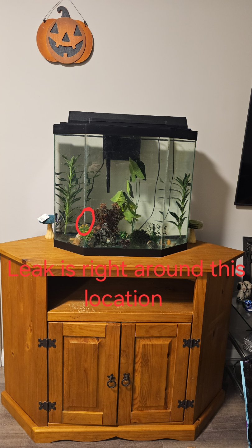 Corner Aquarium with Stand, Minor Leak