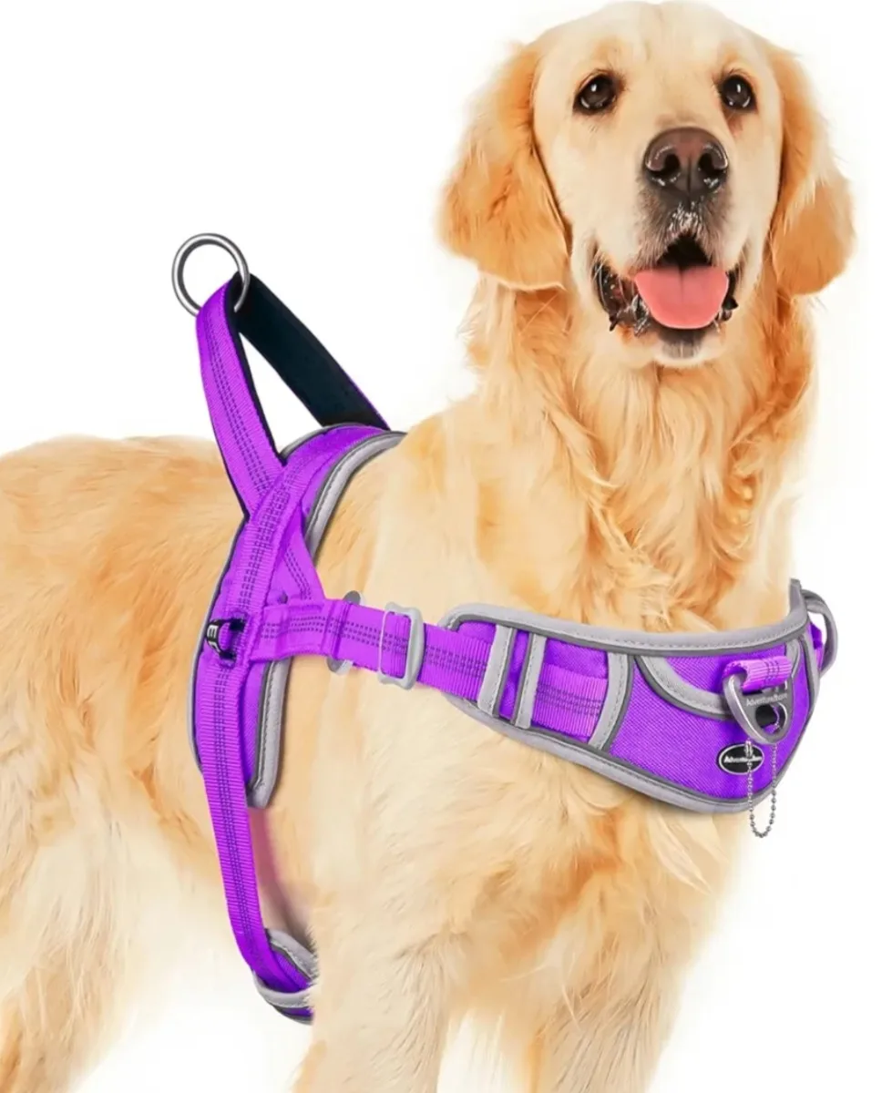 Adventuremore Dog Harness - Purple XS image indicator(2)