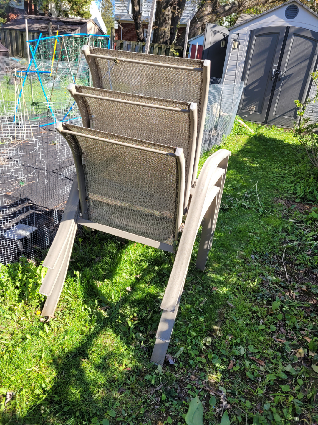 patio chairs
