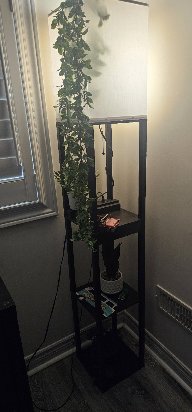 Lamp with Storage Shelves