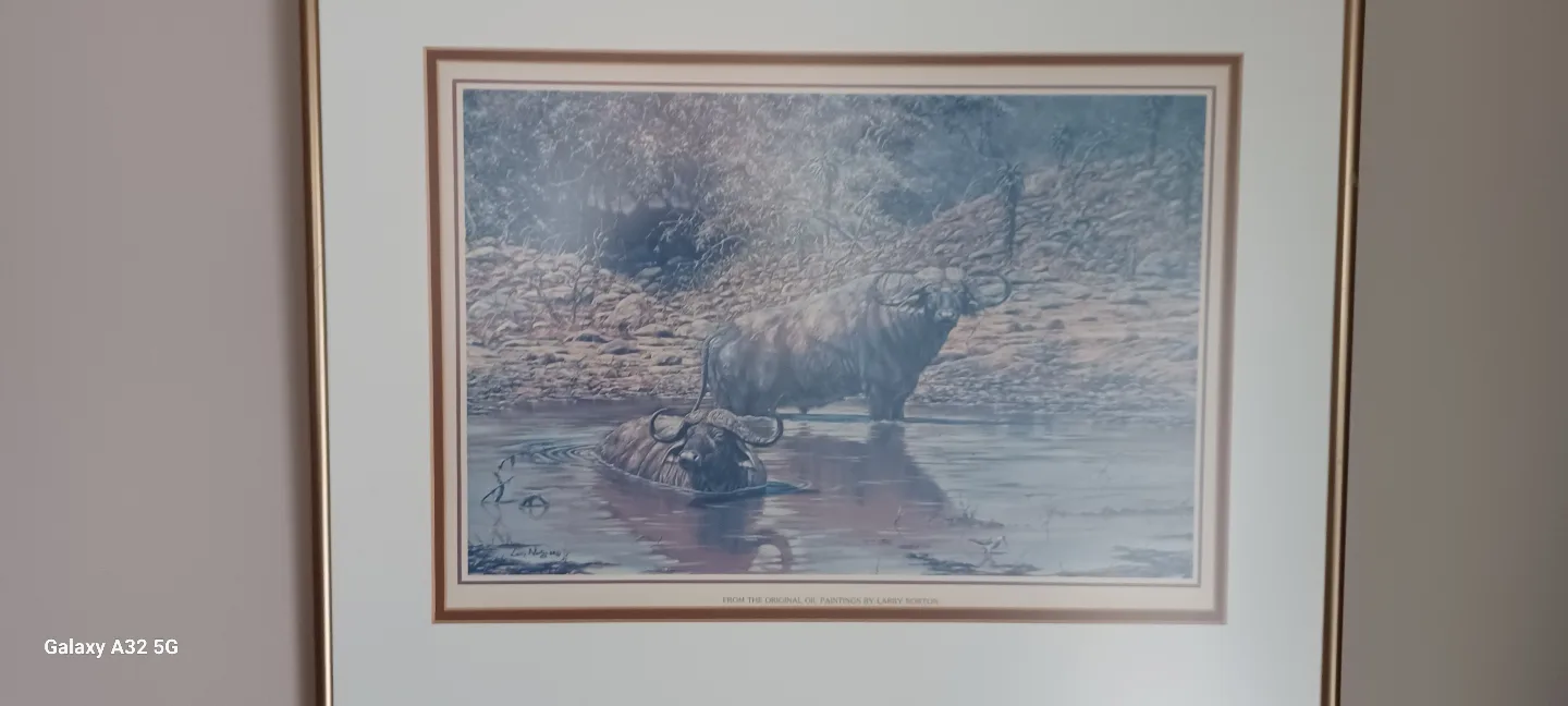 Framed African Buffalo Print by Larry Norton thumbnail