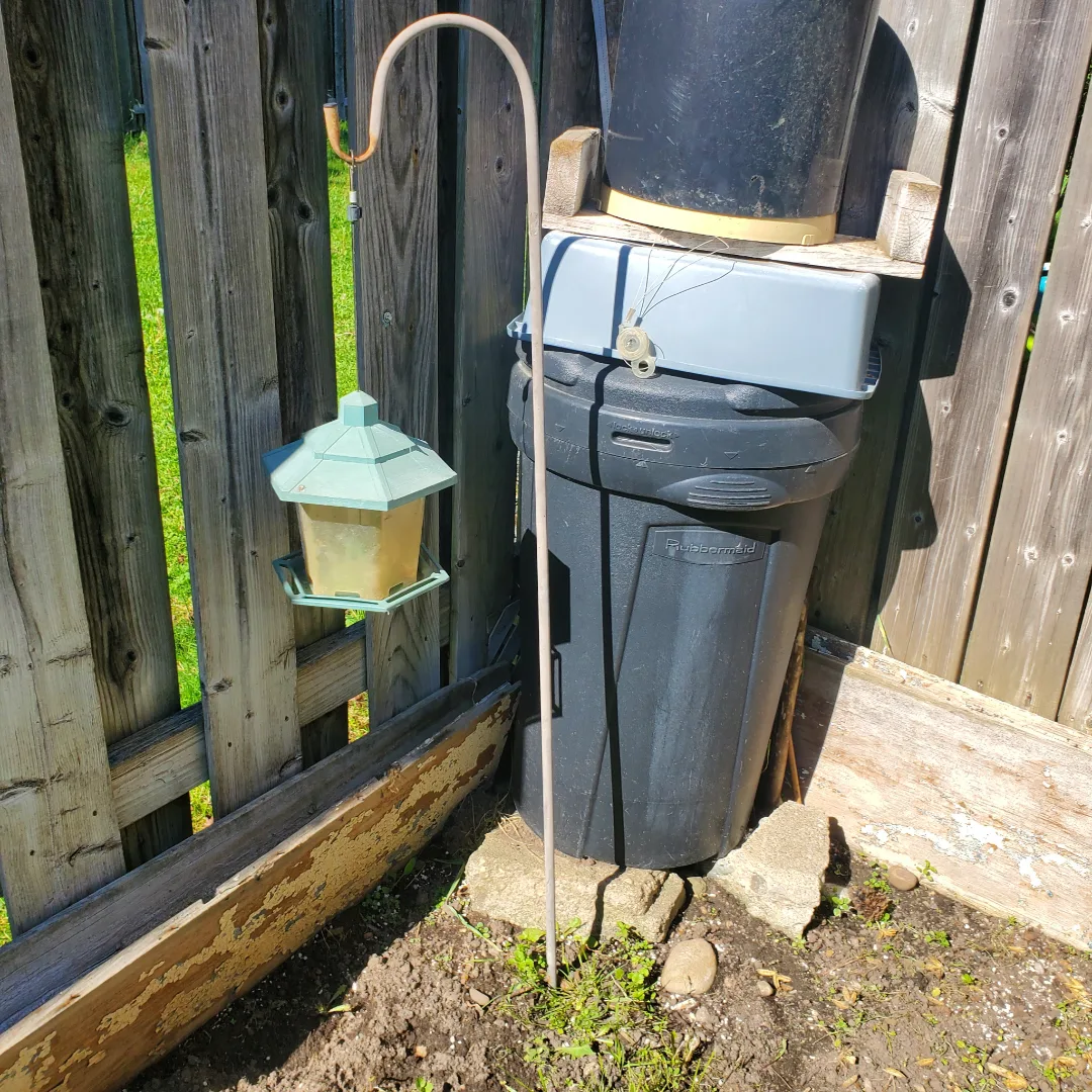 Bird Feeder with Hook image indicator(2)