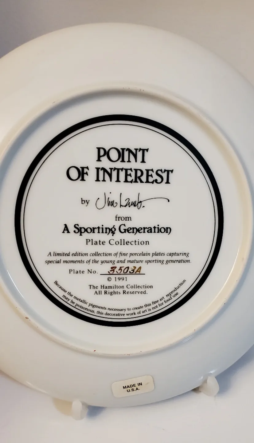 Jim Lamb's A Sporting Generation Collector Plates (Set of 5) image indicator(3)