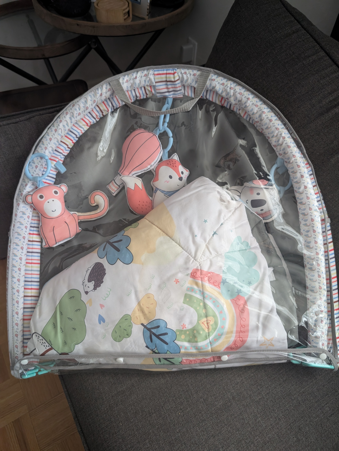 Baby Playmat with Activity Gym