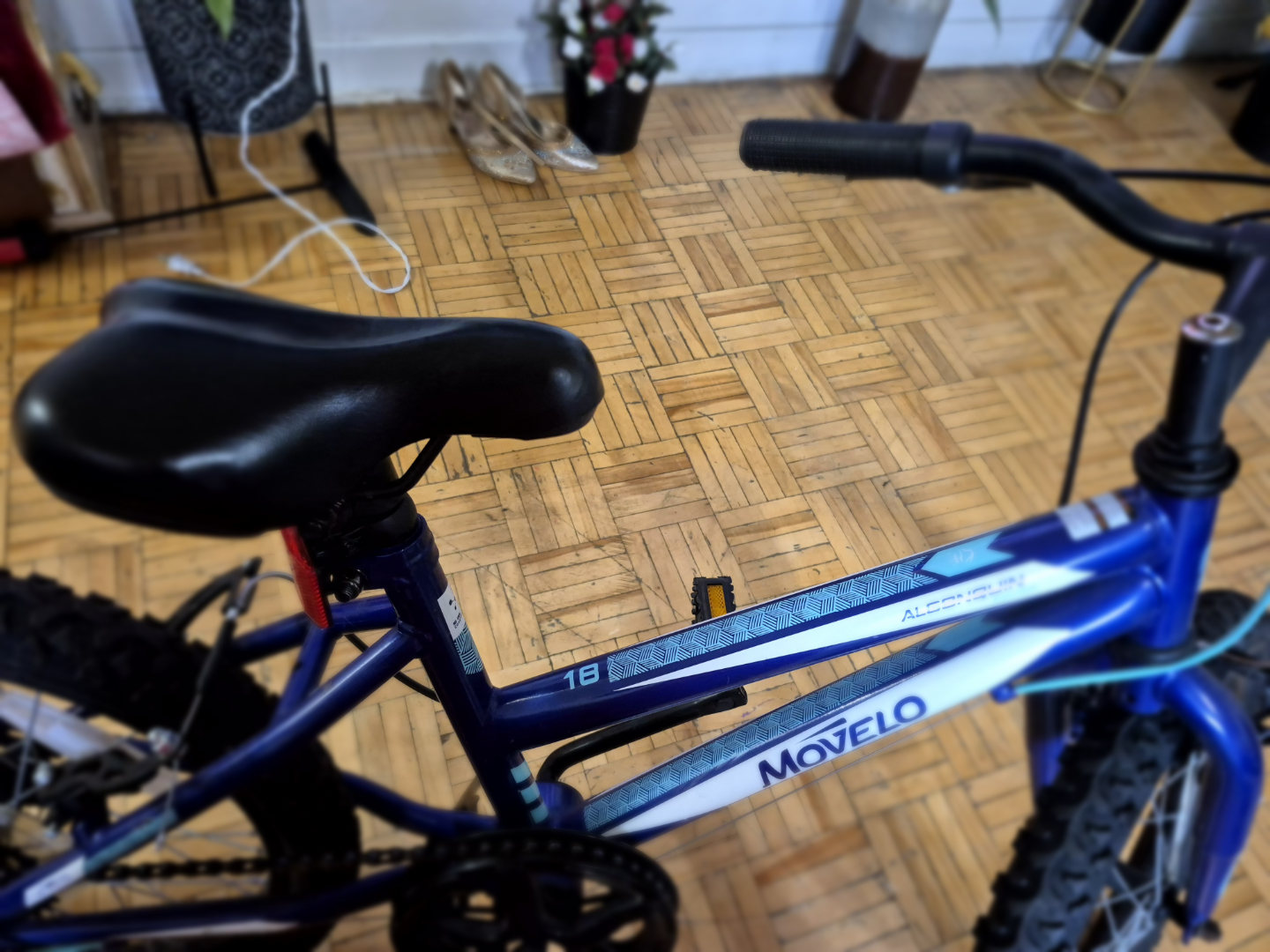 MoveLo Algonquin 18" Kids Bike - photo 3