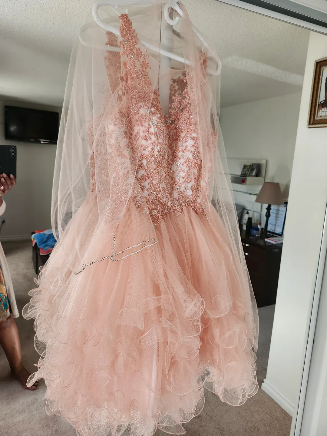 Peach Quinceañera Dress Size 6 image indicator(5)