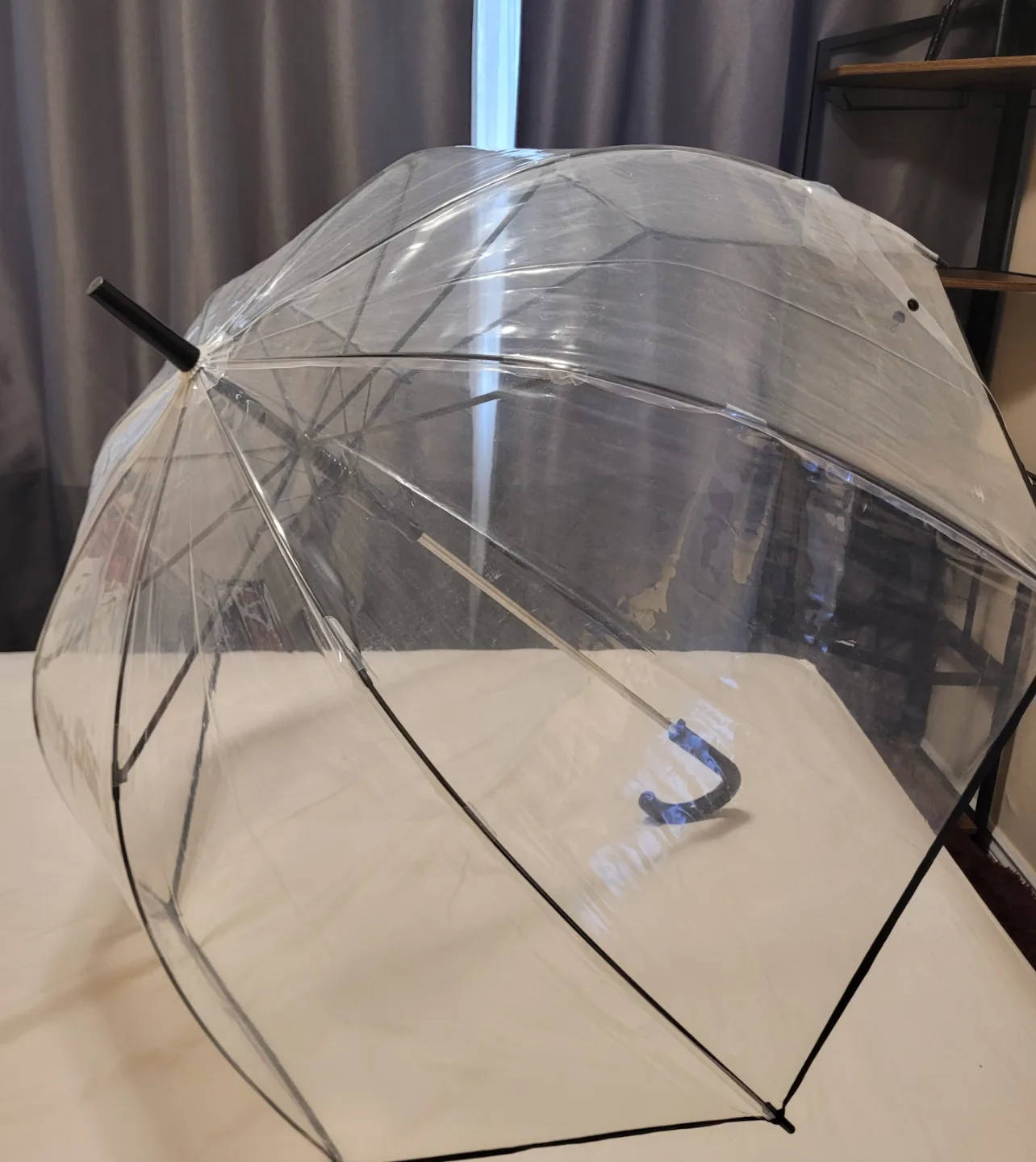 Shedrain Clear Umbrella with Black Trim image indicator(3)