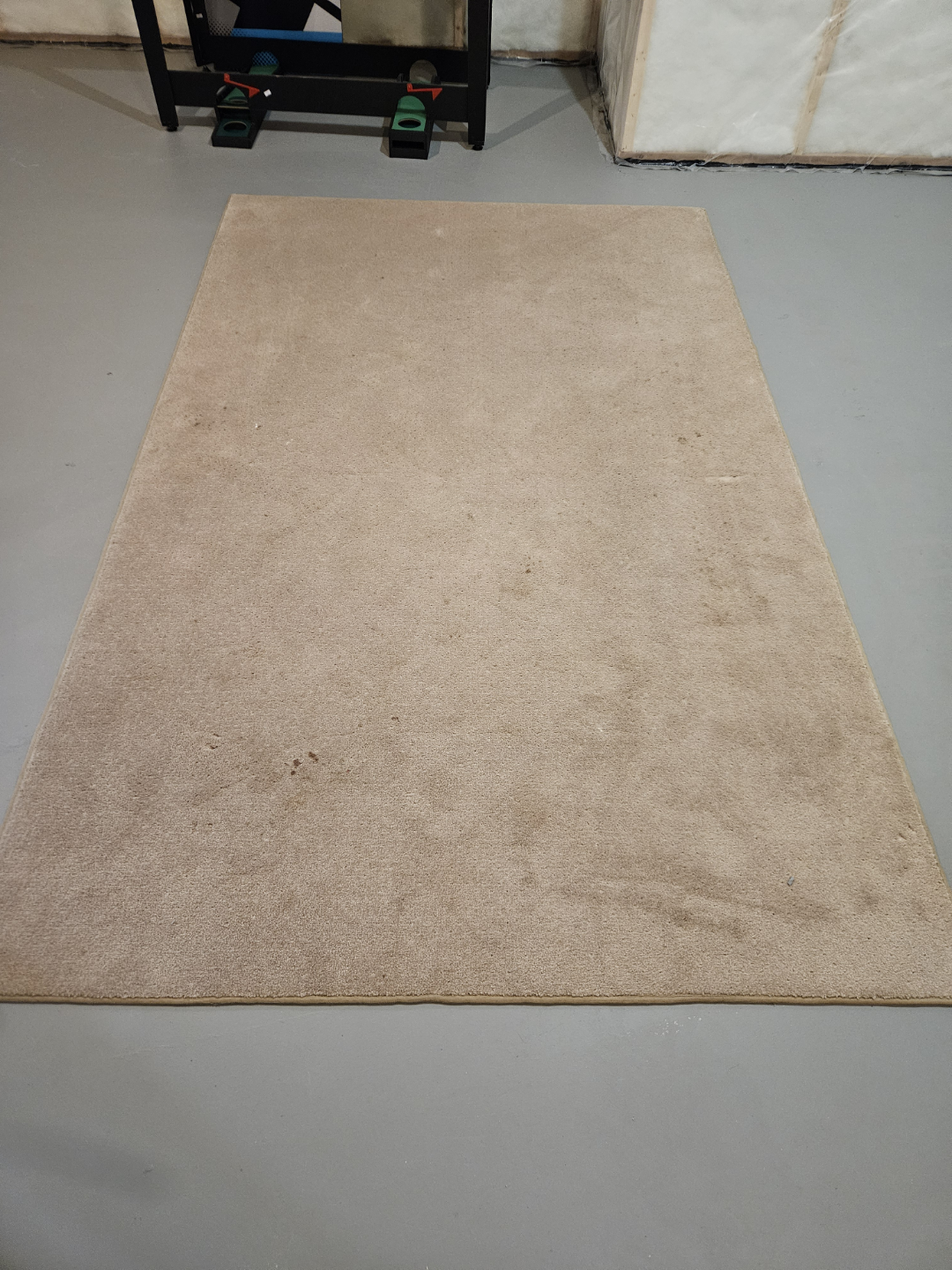 Beige Area Rug