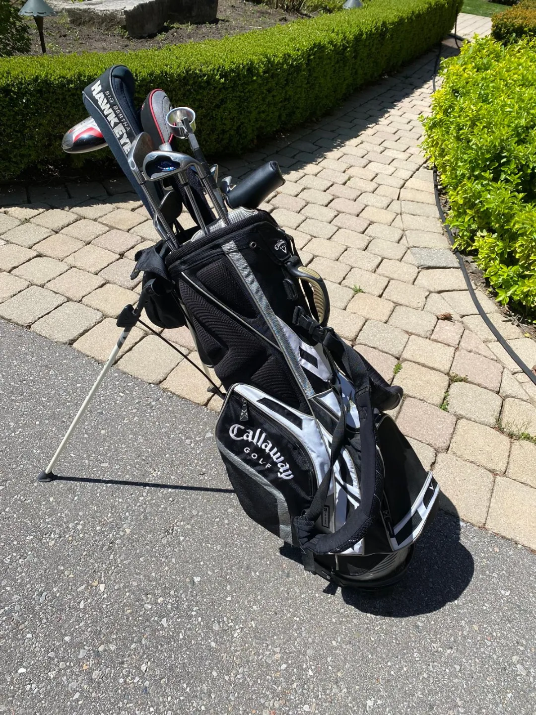 Callaway Golf Club Set with Stand Bag image indicator(2)