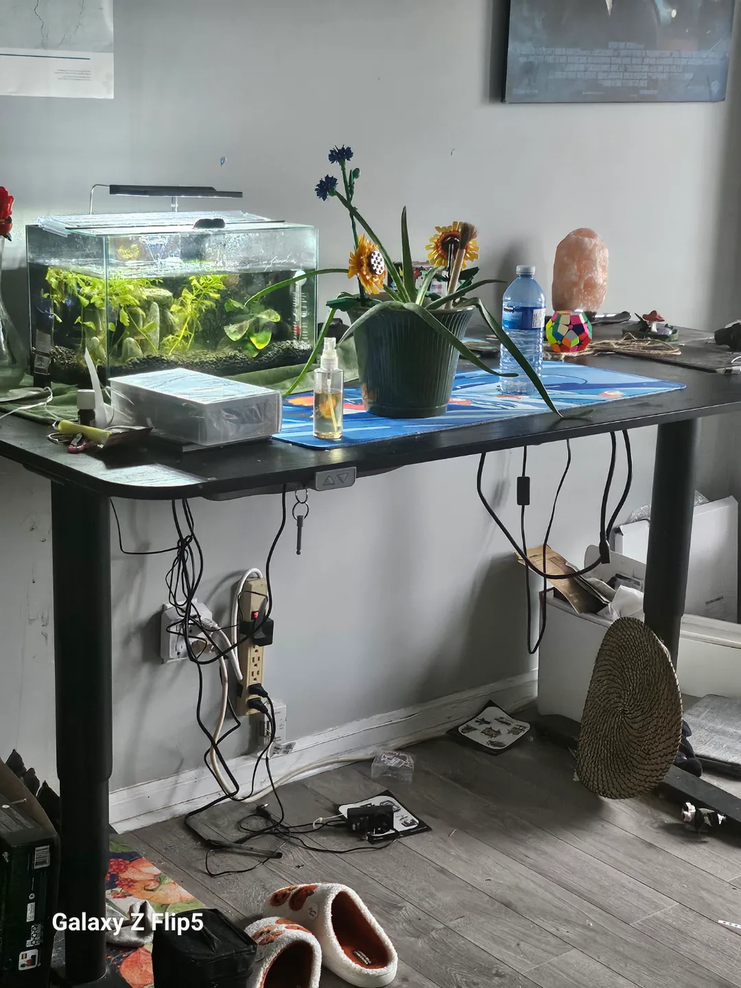 Black Electric Standing Desk thumbnail