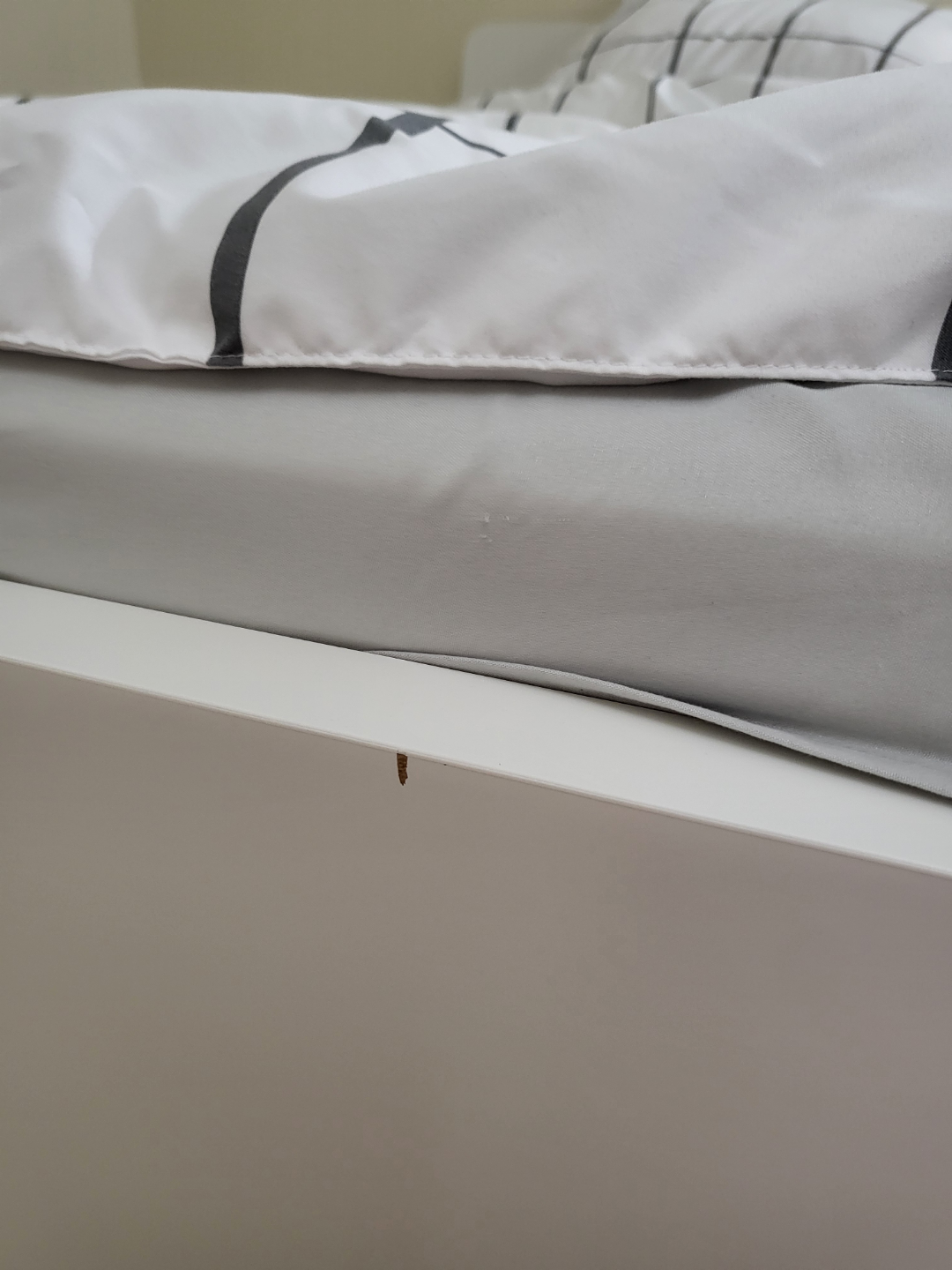IKEA bed frame + Mattress - photo 4