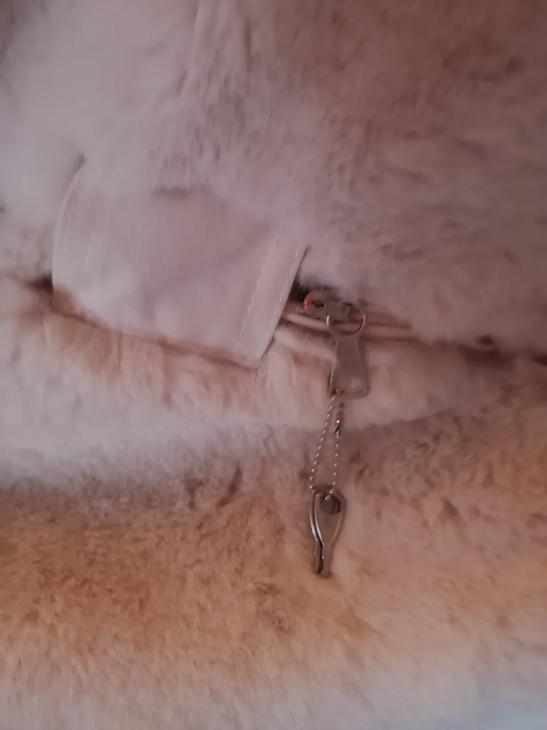 Bean bag Chair with Faux Fur Cover image indicator(4)